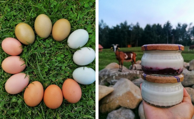 Farma pod Polanou - ochutnavka nasich produktov